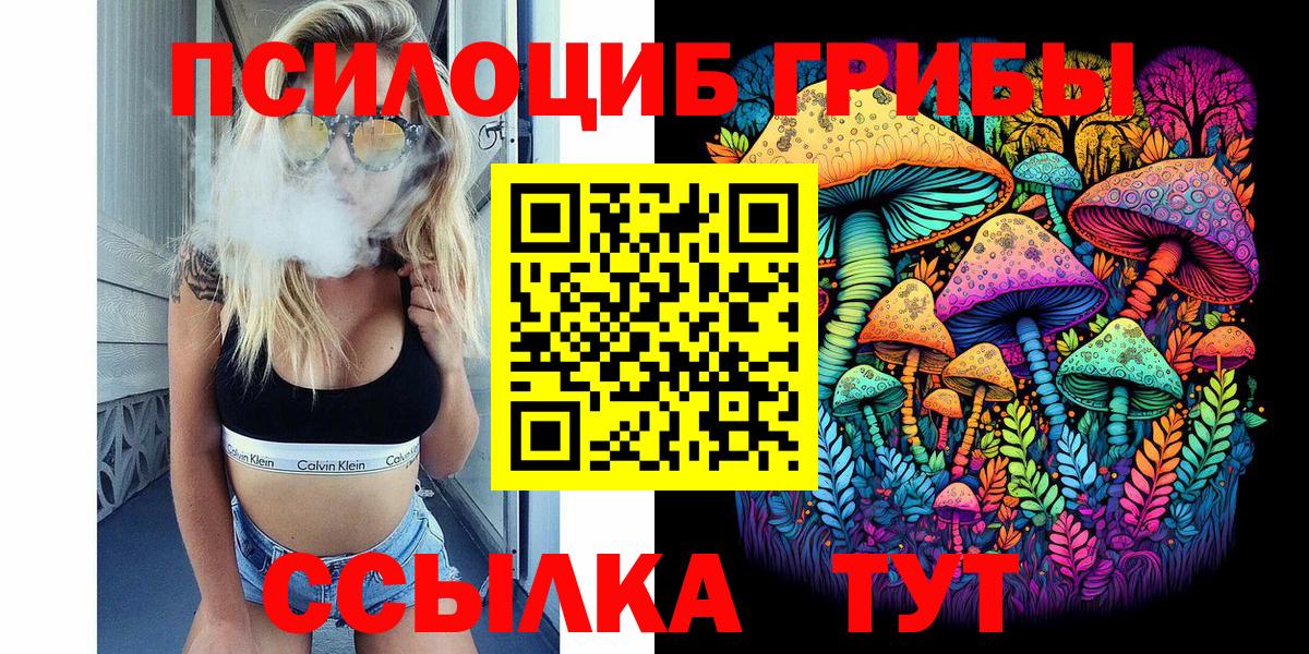 Троицк  Псилоцибиновые грибы Psilocybe  Вход с VPN 