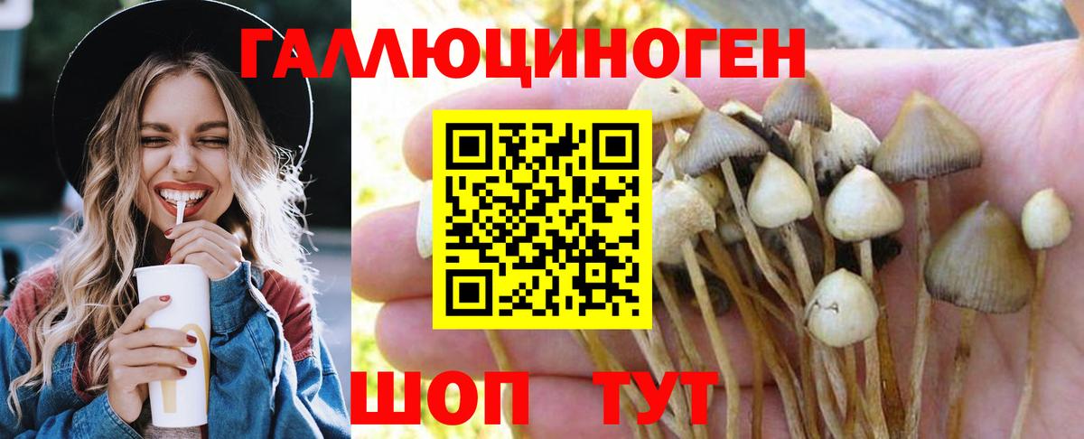 Псилоцибиновые грибы мицелий Троицк
